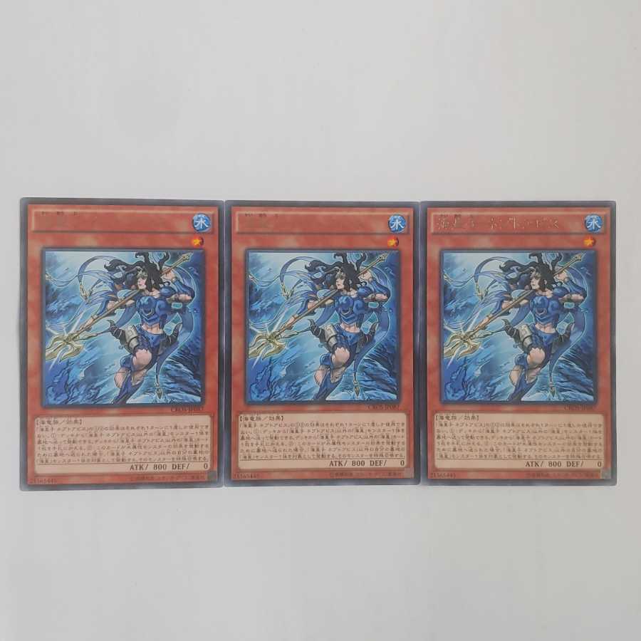 284 海皇子 ネプトアビス 3枚 鮭イクラ商店