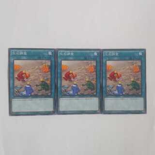 288 化石調査 ノーパラ3枚 鮭イクラ商店