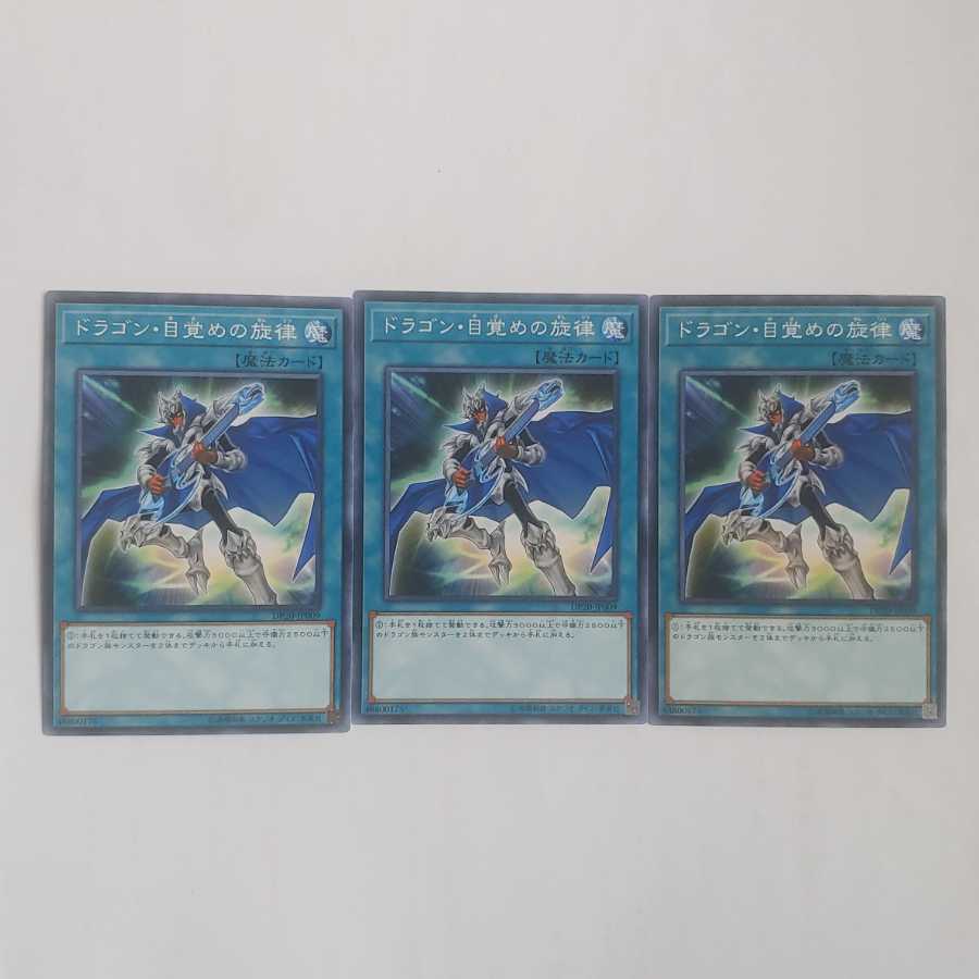 300 ドラゴン目覚めの旋律 3枚 鮭イクラ商店