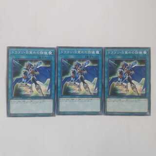 300 ドラゴン目覚めの旋律 3枚 鮭イクラ商店