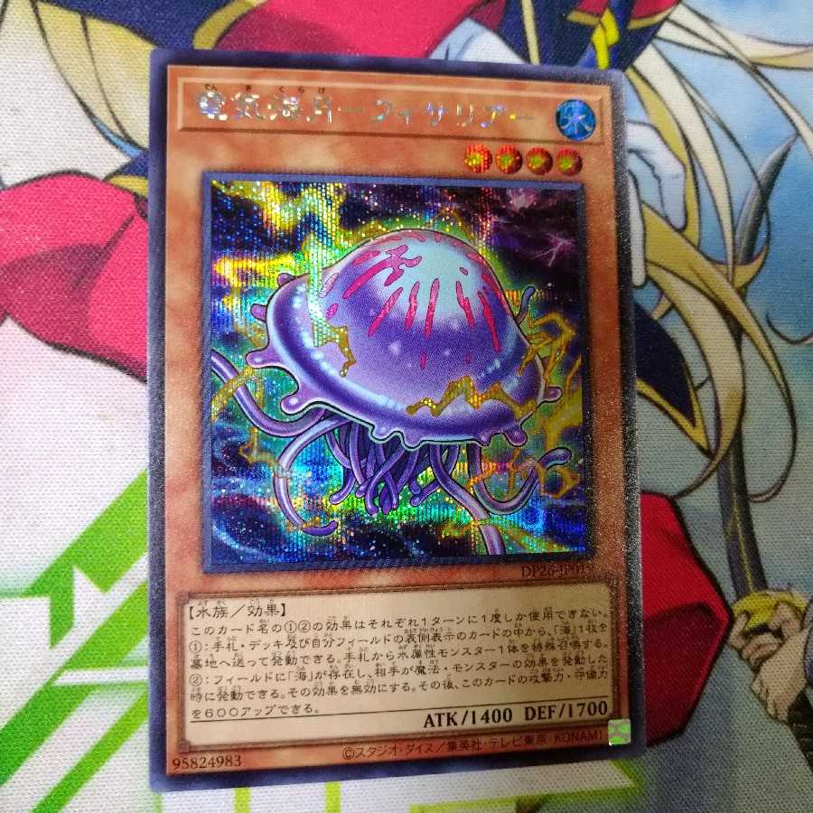 電気海月　フィサリアー　シークレット