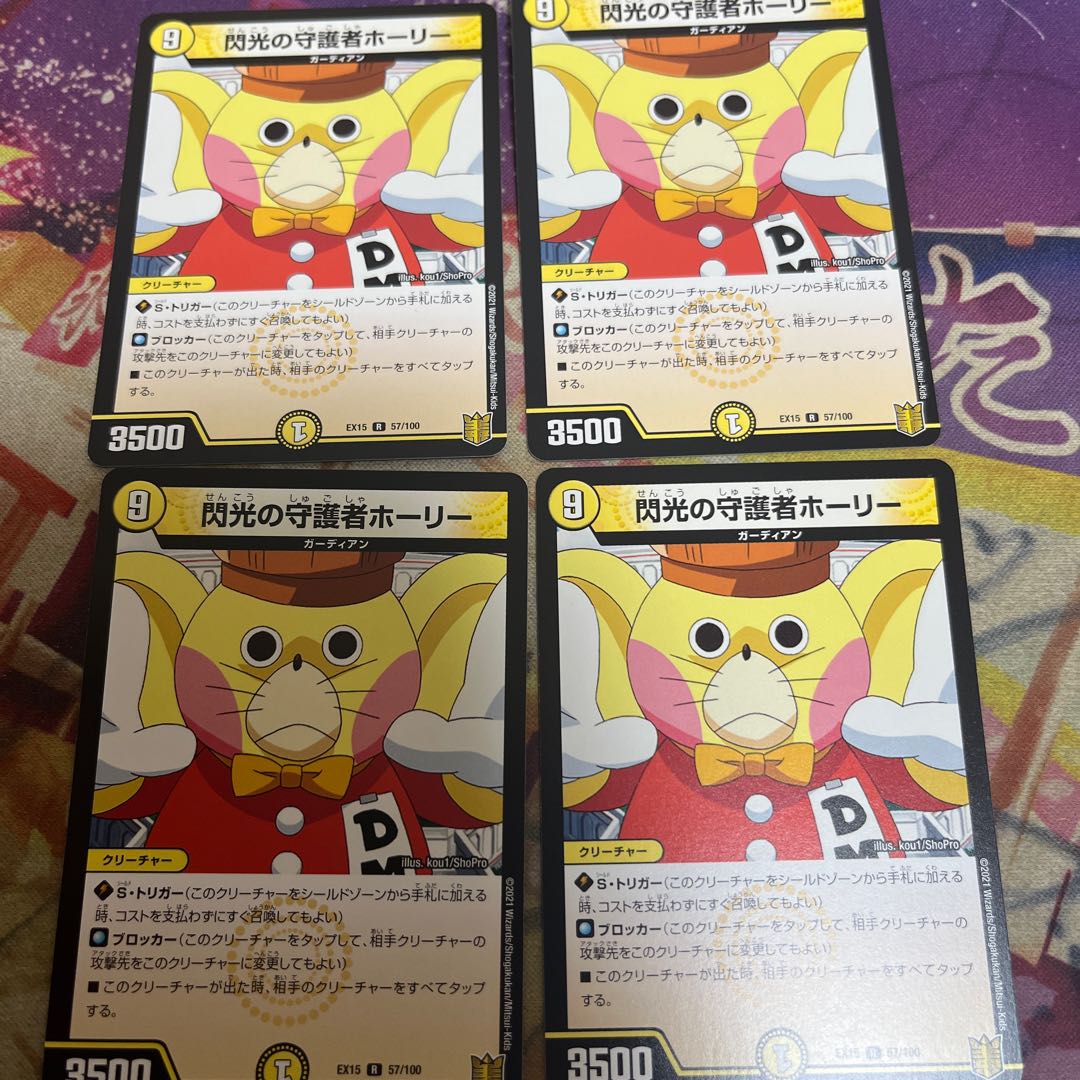 閃光の守護者ホーリー