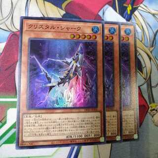 Ku Squirrel Tar Shark Super Rare