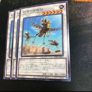 Desert Locusts Normal