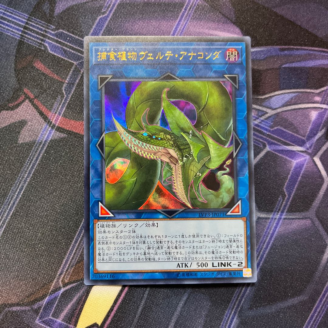 捕食植物ヴェルテ・アナコンダ