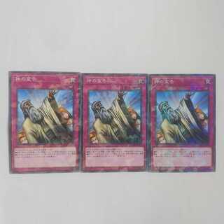 312 神の宣告 3枚 鮭イクラ商店