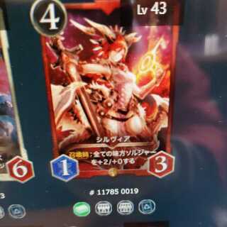 シルヴィア2枚セット