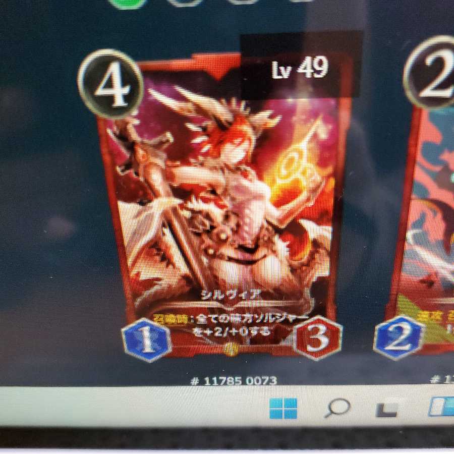 シルヴィア2枚セット