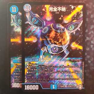 完全不明 2枚セット