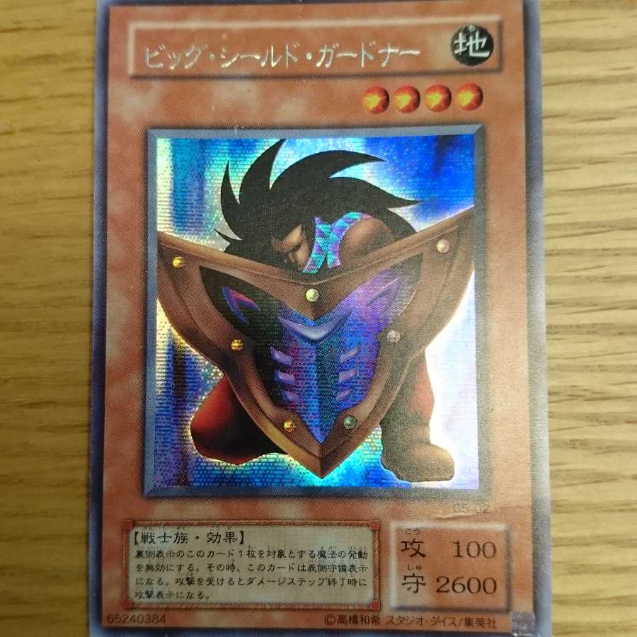 ビッグ シールド ガードナーの販売 通販 1394889411 Magi マギ