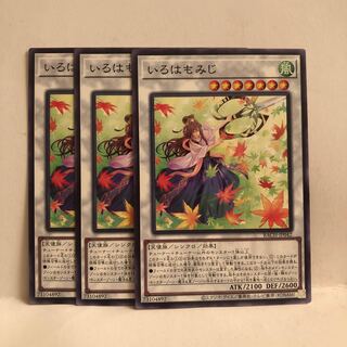 いろはもみじ ノーマル　3枚　マホ子