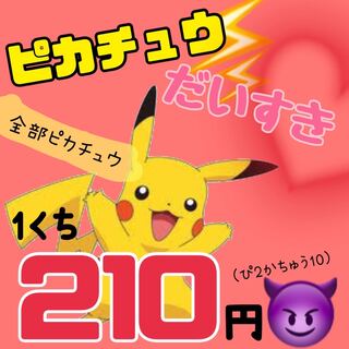 たぬき@ポケカ様　10p