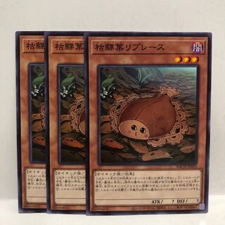 枯鰈葉リプレース ノーマル　3枚　マホ子