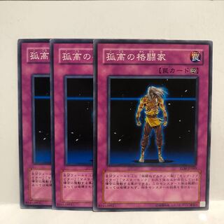 孤高の格闘家 ノーマル　3枚　マホ子