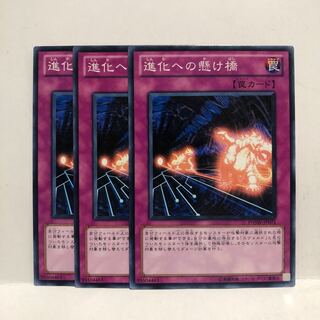 進化への懸け橋 ノーマル　3枚　マホ子