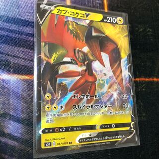 カプ・コケコV RR