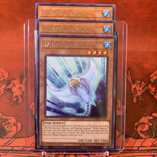 【カードケース付き】遊戯王 英語版 ホワイトスティングレイ  白棘鱏 ３枚セット