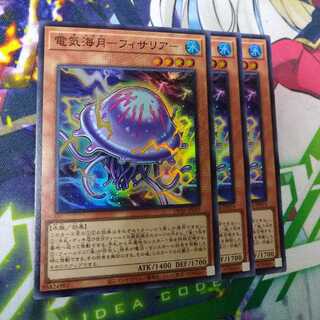 電気海月　フィサリアー