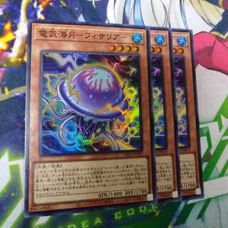 電気海月　フィサリアー