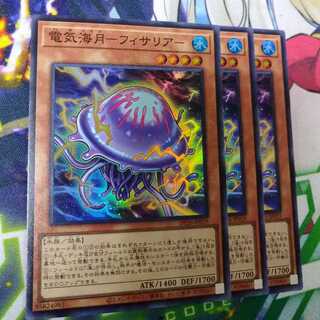 電気海月　フィサリアー