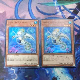 シーアーカイバー