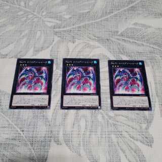 No.71 リバリアン・シャーク