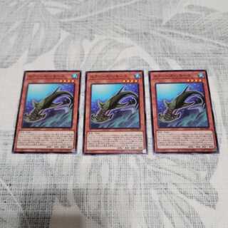 エクシーズ・リモーラ ノーマル