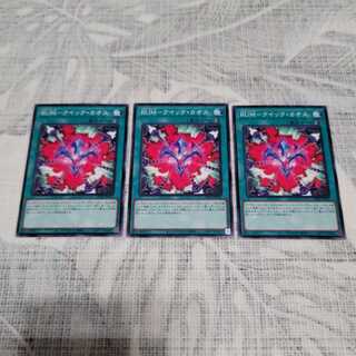 RUM-クイック・カオス