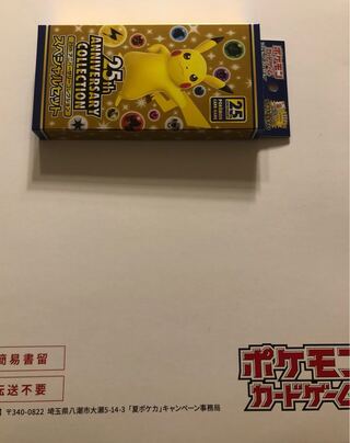 ラカス様専用　夏ポケカ担保