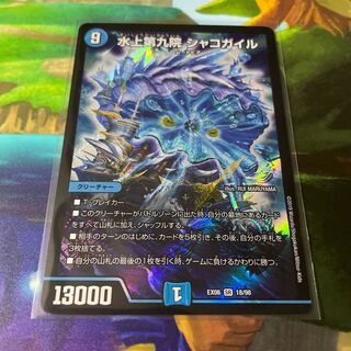 水上第九院 シャコガイル