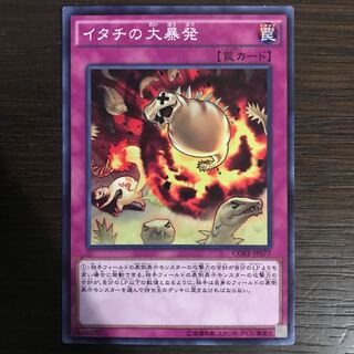 イタチの大暴発