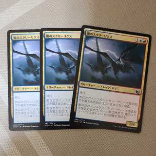 嵐のスクリーリスク