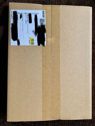 真紅眼の黒竜 プリズマティックシークレットレア