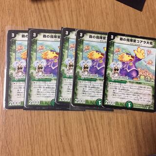 森の指揮官コアラ大佐(H.C) C 41/44/Y7