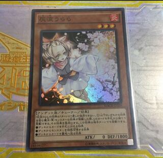 遊戯王　灰流うらら　スーパー