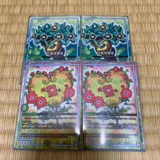 パキラキ アネモ 2枚セット