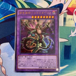 捕食植物ドラゴスタペリア ウルトラレア