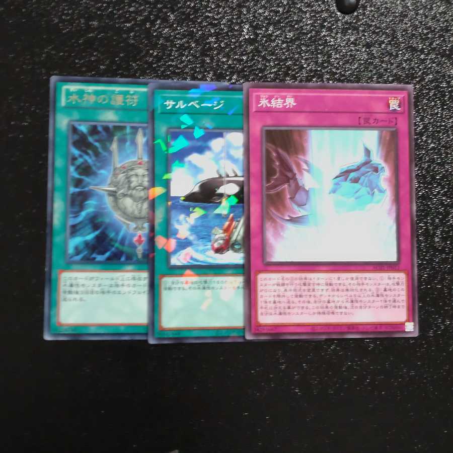 【成約済】サルベージ＋氷結界【木林堂】