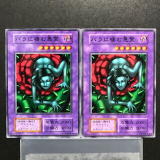 バラに棲む悪霊 1枚