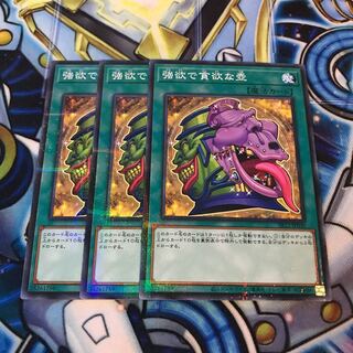 強欲で貪欲な壺 ノーマルパラレル　Hulu 3387