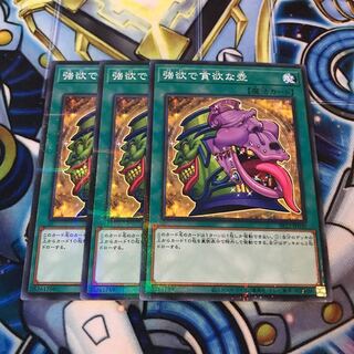 強欲で貪欲な壺 ノーマルパラレル　Hulu 3388