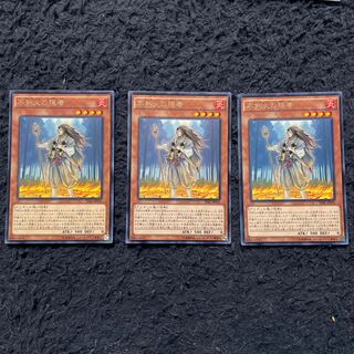 不知火の隠者 レア　3枚