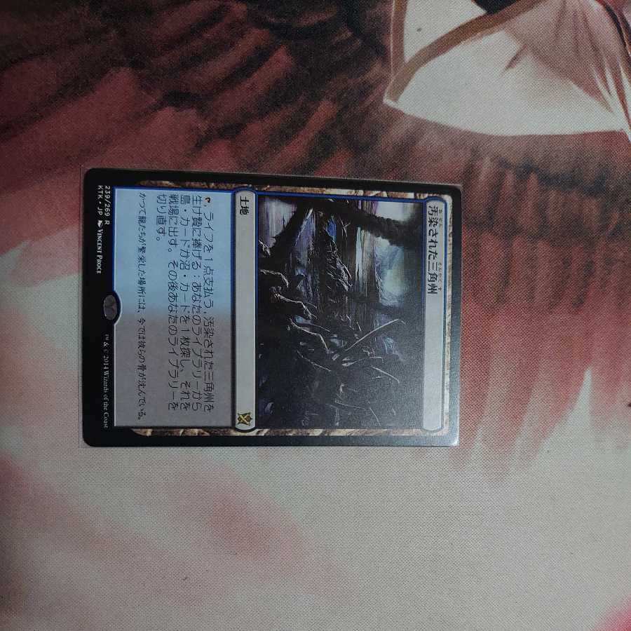 汚染された三角州(日)  DK41様専用