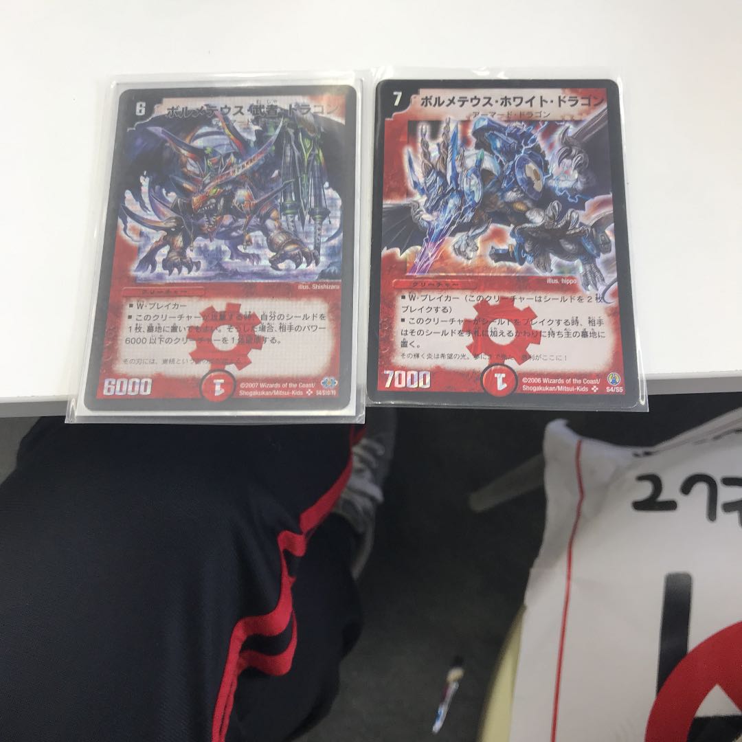 Bormetheus, warrior, dragon