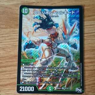 スペリオル・シルキード