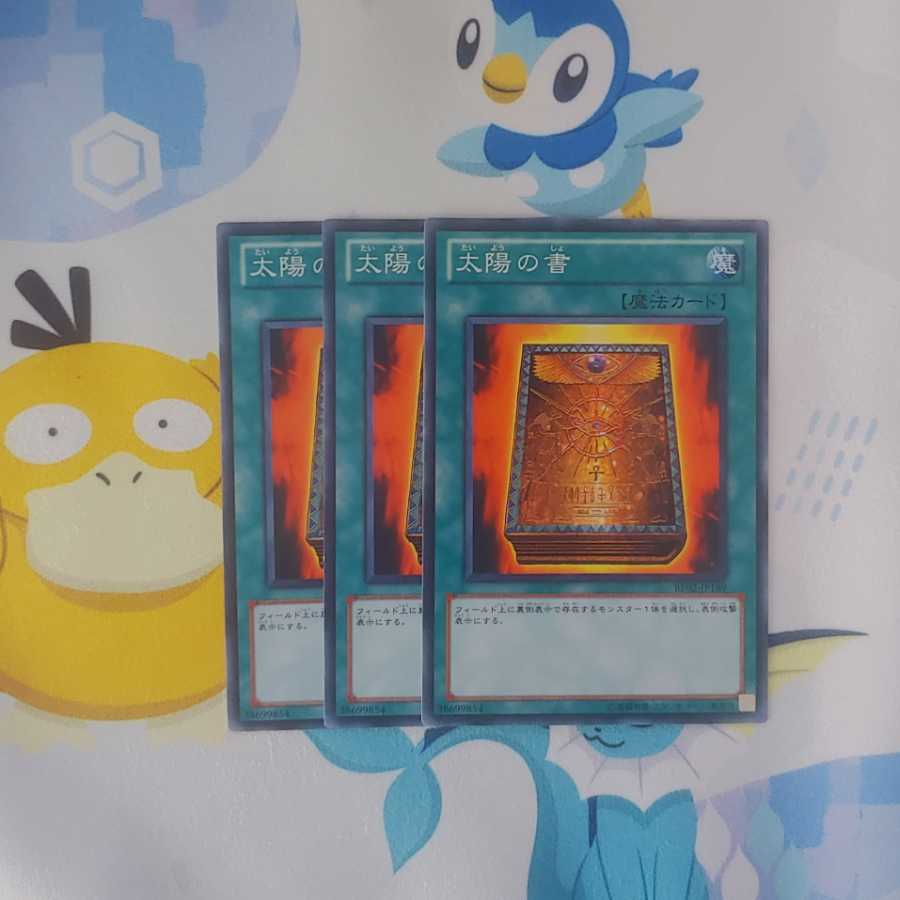 347 太陽の書 3枚 鮭イクラ商店