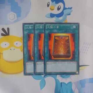 347 太陽の書 3枚 鮭イクラ商店