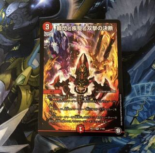 瞬閃と疾駆と双撃の決断