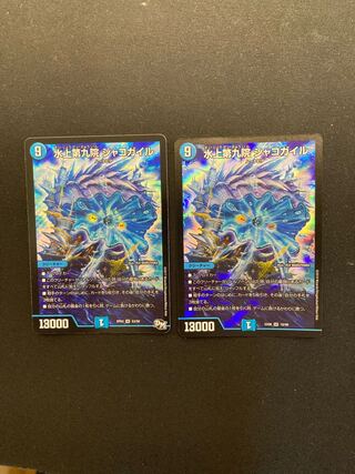 水上第九院 シャコガイル　2枚