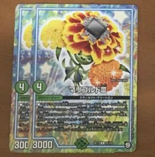 マリゴルド 2枚